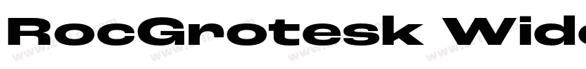 RocGrotesk WideBold字体转换